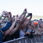 Ruisrock 2015 (171/280)